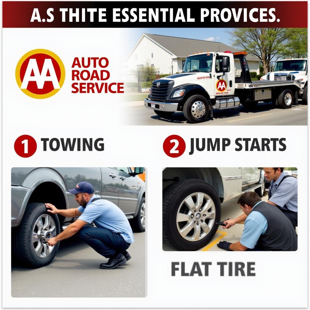 AA Road Service Essentials