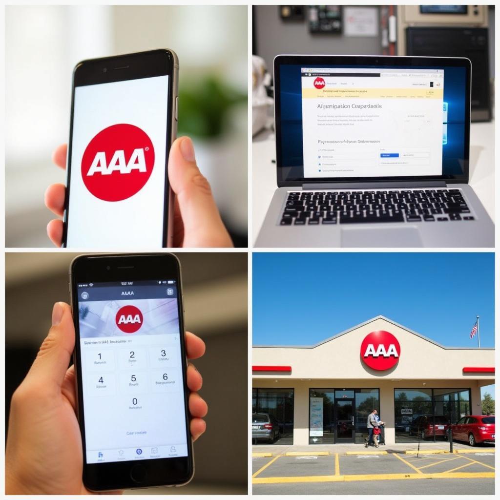 AAA Customer Service Options 