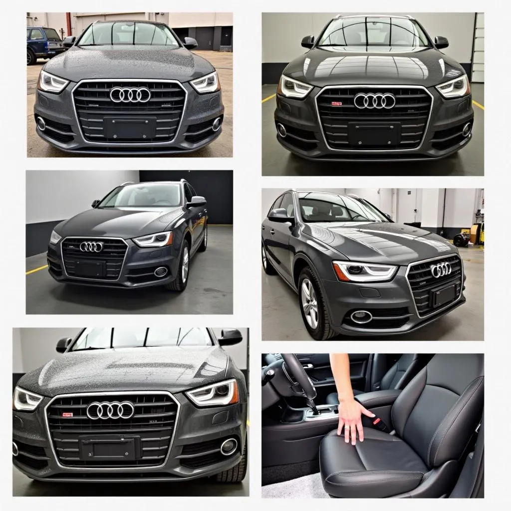 Professional Audi Detailing Process