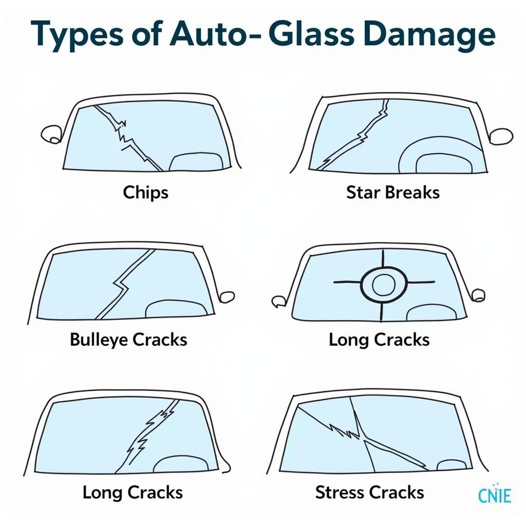 Types of Auto Glass Damage