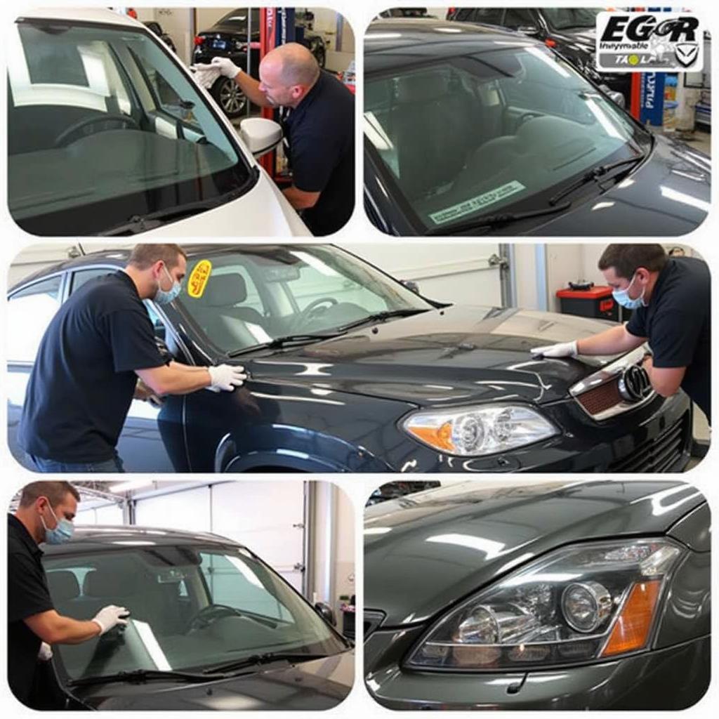 Auto Glass Shop Services