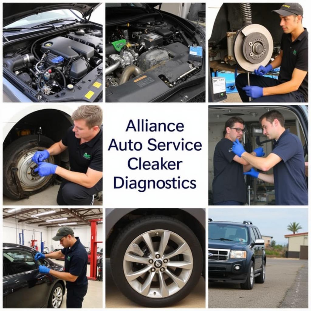  Range of Auto Repair Services Offered 