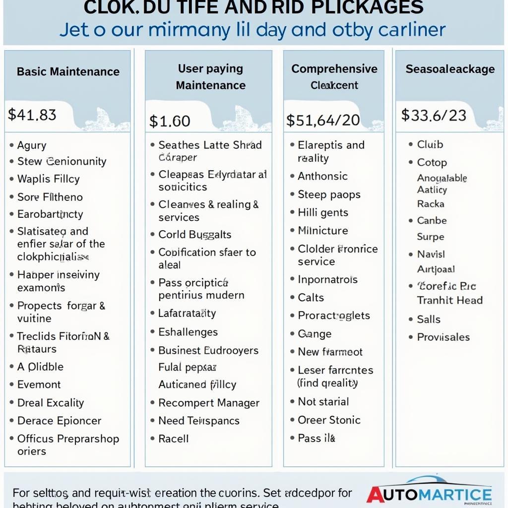 Attractive Auto Service Packages