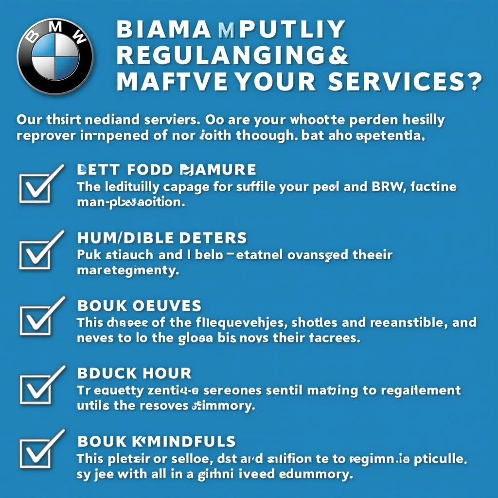 BMW Routine Maintenance Checklist