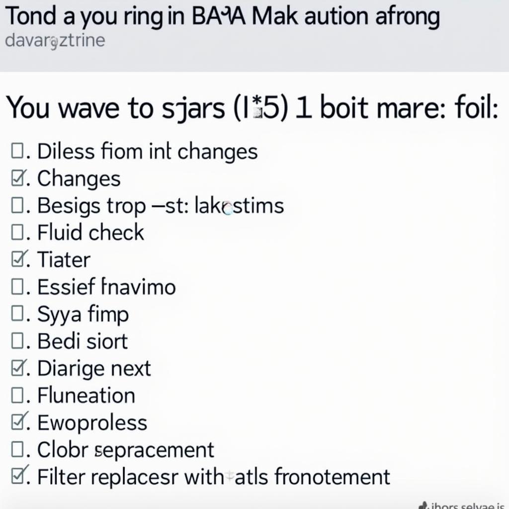 BMW Routine Maintenance Checklist