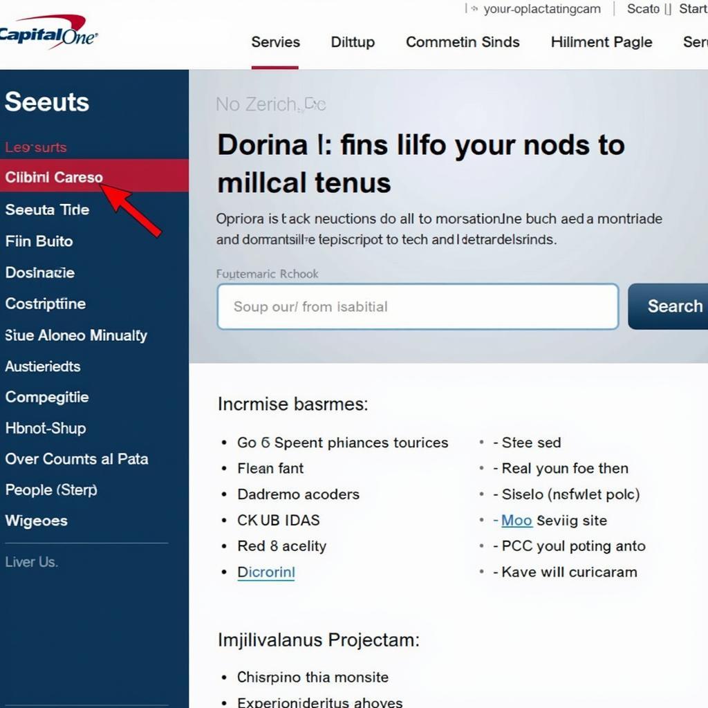 Capital One Website Screenshot