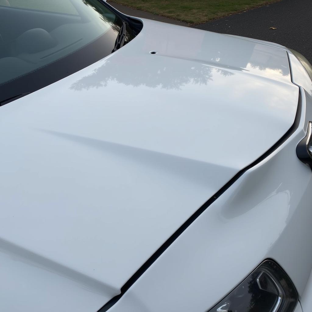 Car Roof After Dent Repair