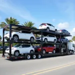 Car Shipping in Clearwater, FL