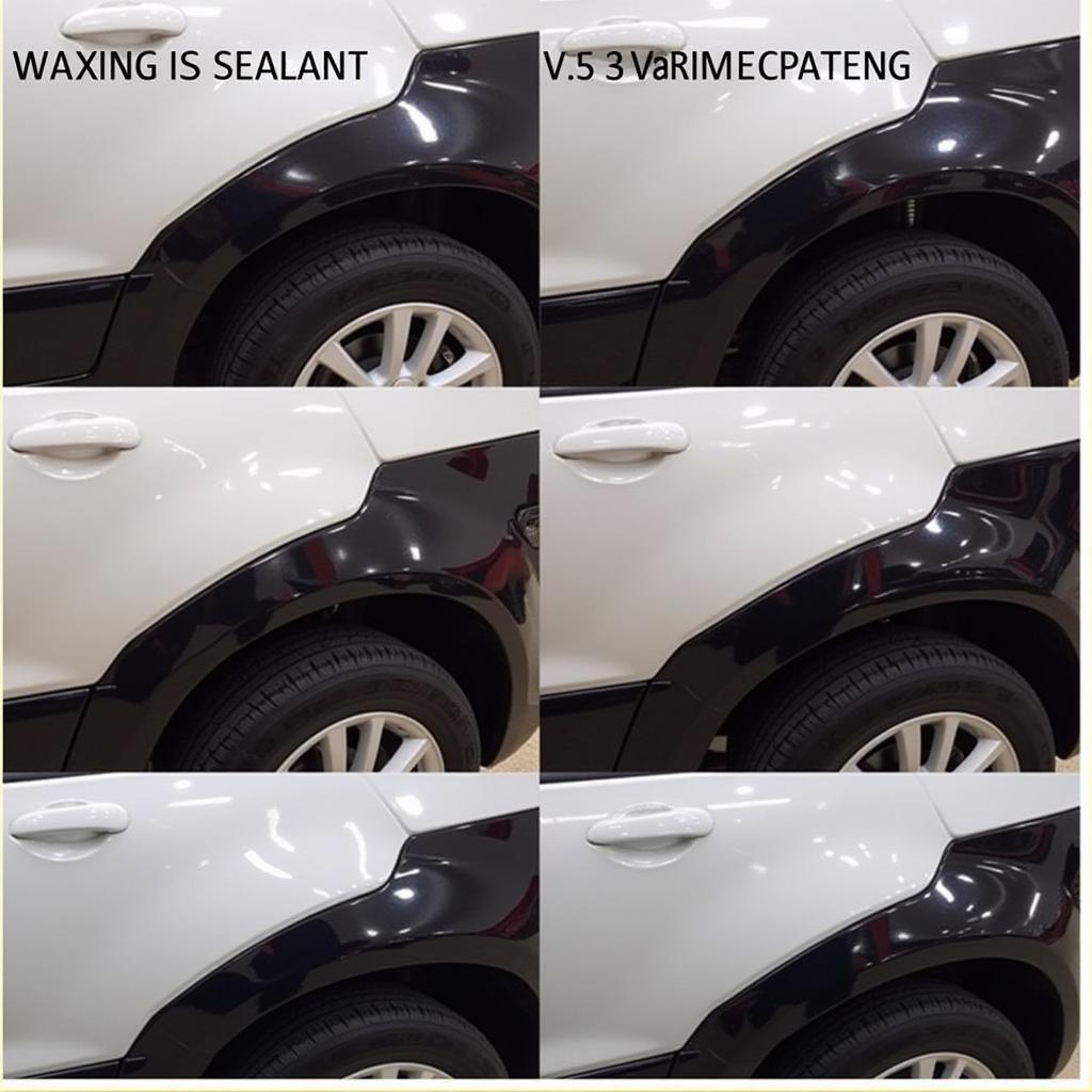 Comparing Results of Different Car Paint Protection Methods