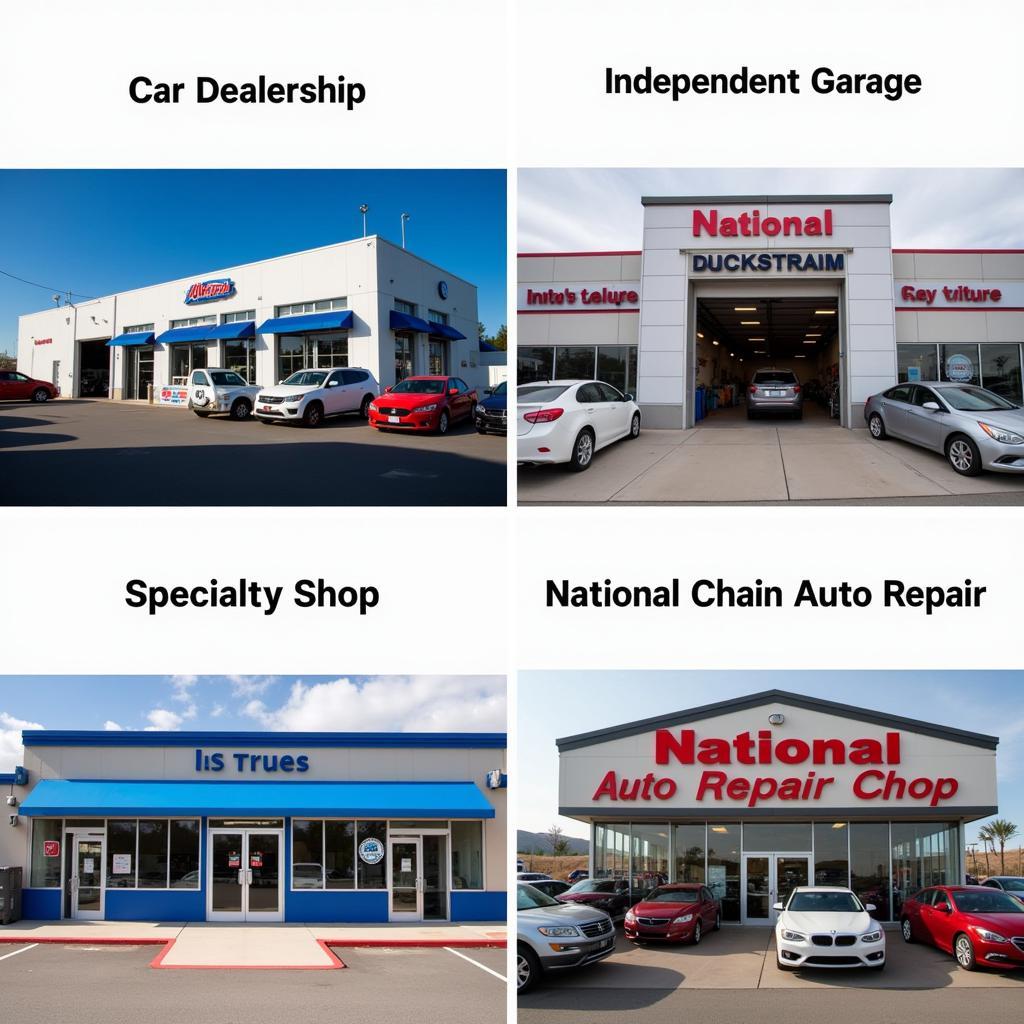 Various Auto Repair Shop Options