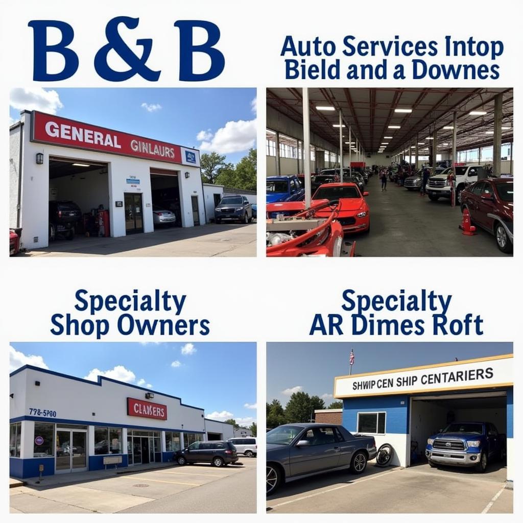 Variety of B & B Auto Service Options