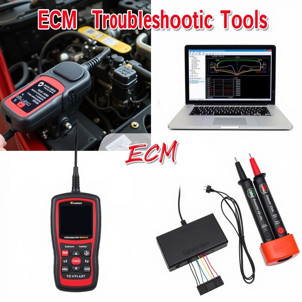 ECM Diagnostic Tools