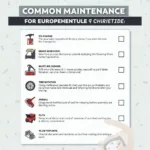 European Car Service Checklist