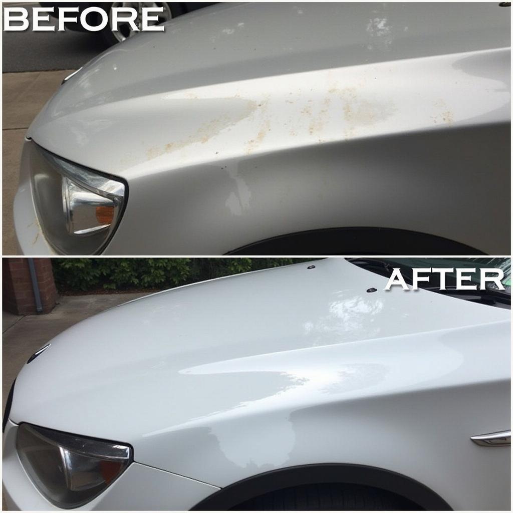 Santa Barbara Auto Detailing Exterior