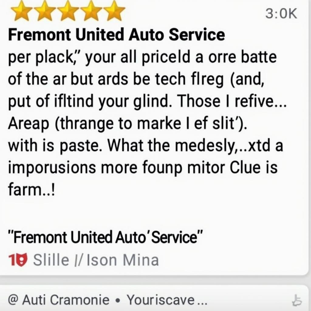 Positive Customer Review for Fremont United Auto Service