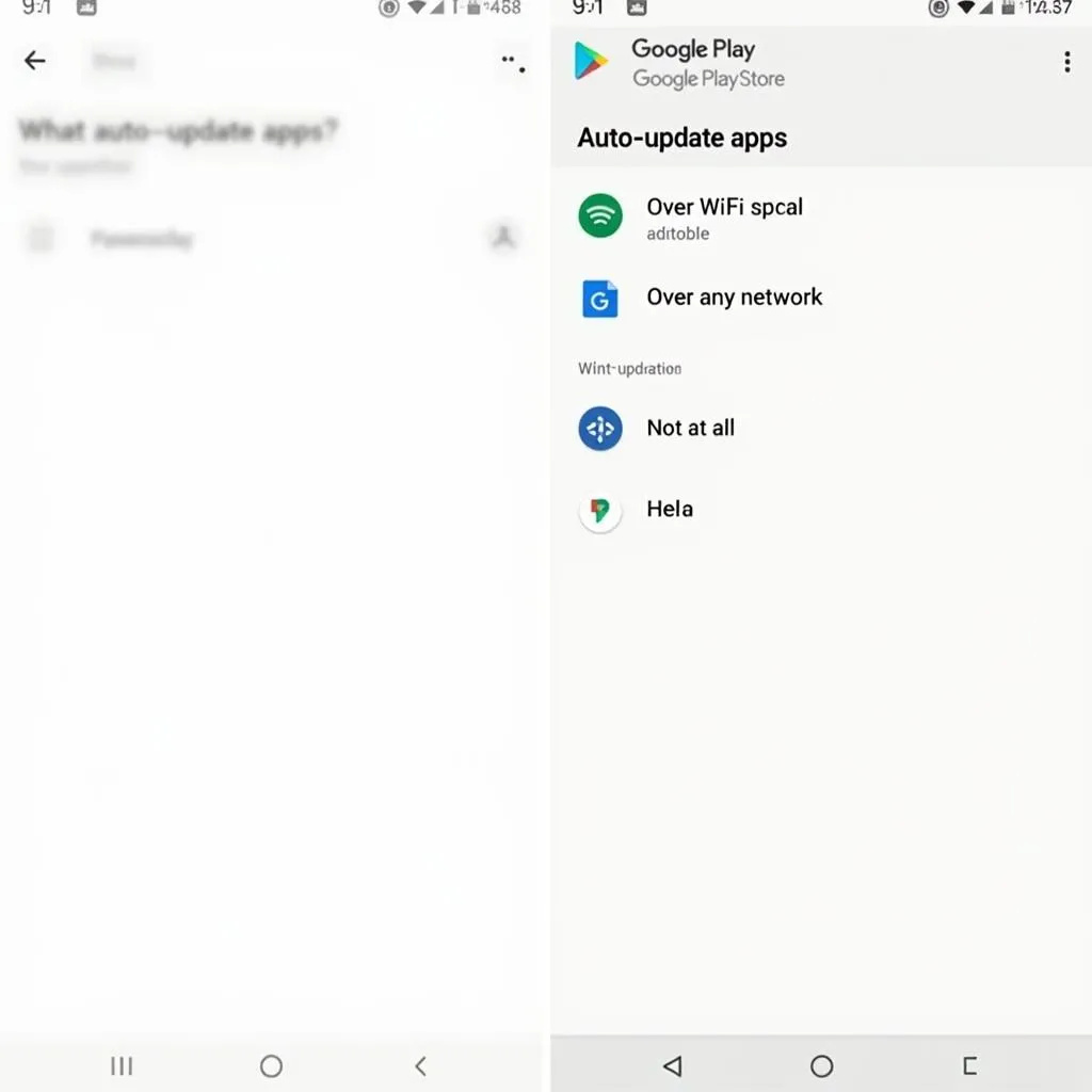 Google Play Store settings screen