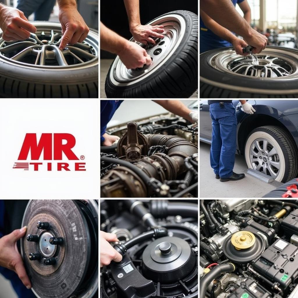 Mr. Tire Service Range