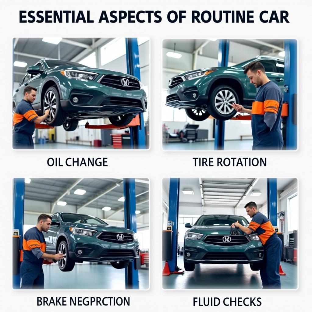 Routine Car Maintenance