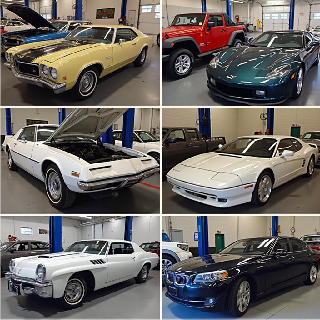 Specialized Auto Services Phoenix