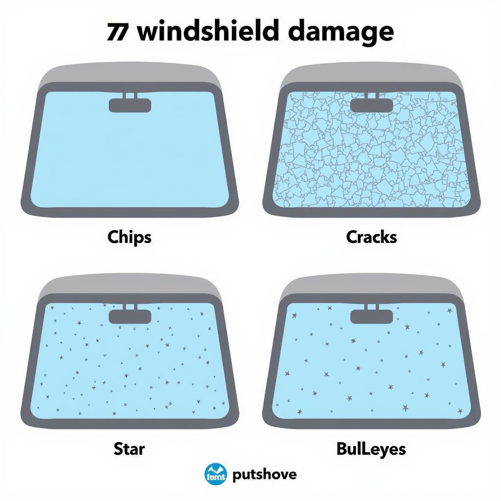 Various types of windshield damage