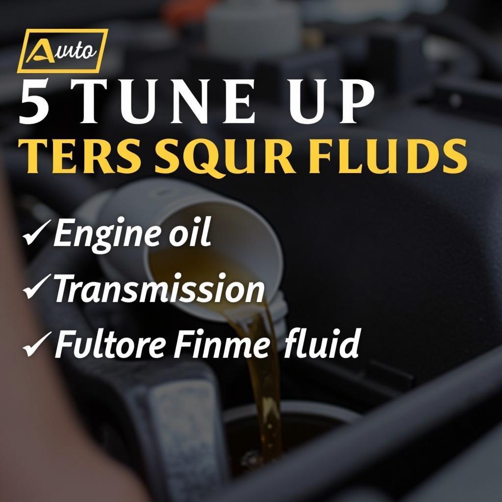 Checking Fluids During a 5 Auto Tune Up