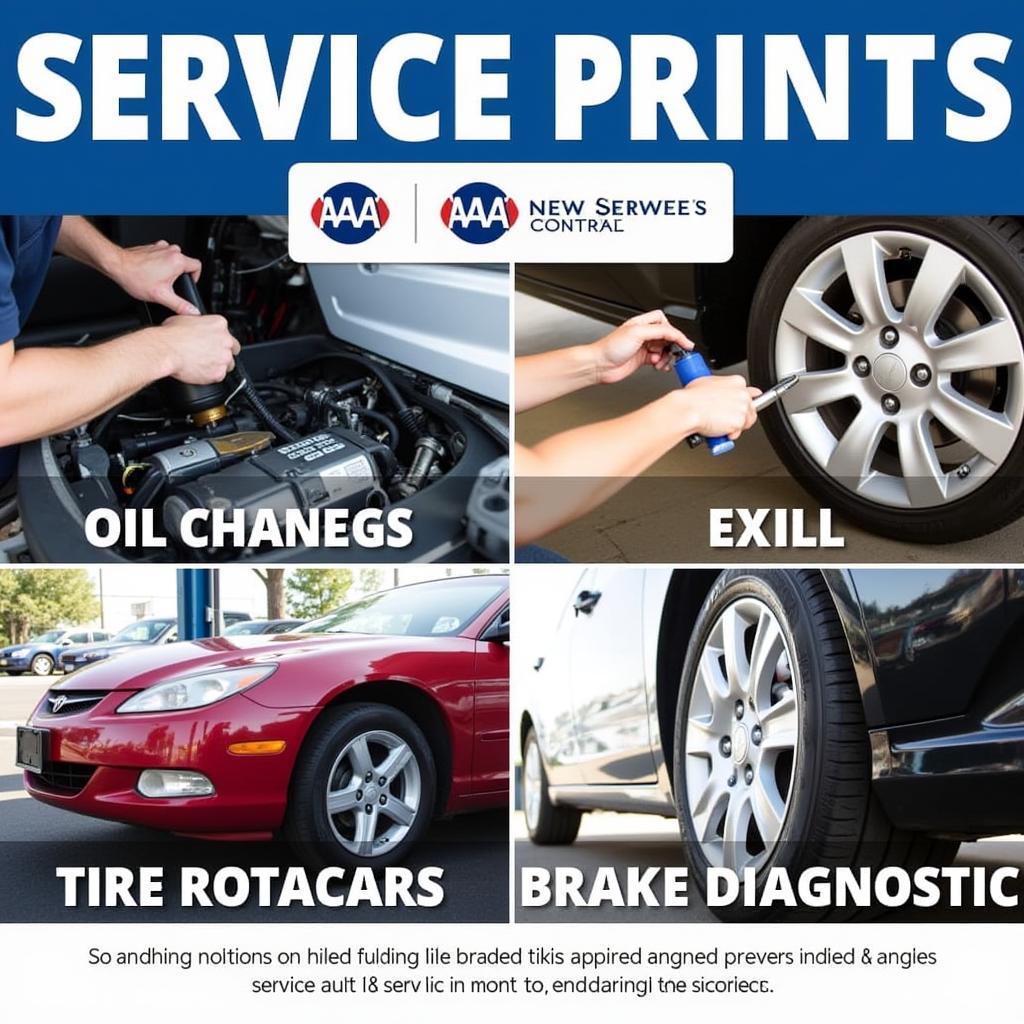 AAA Auto Service Center San Jose Range of Services