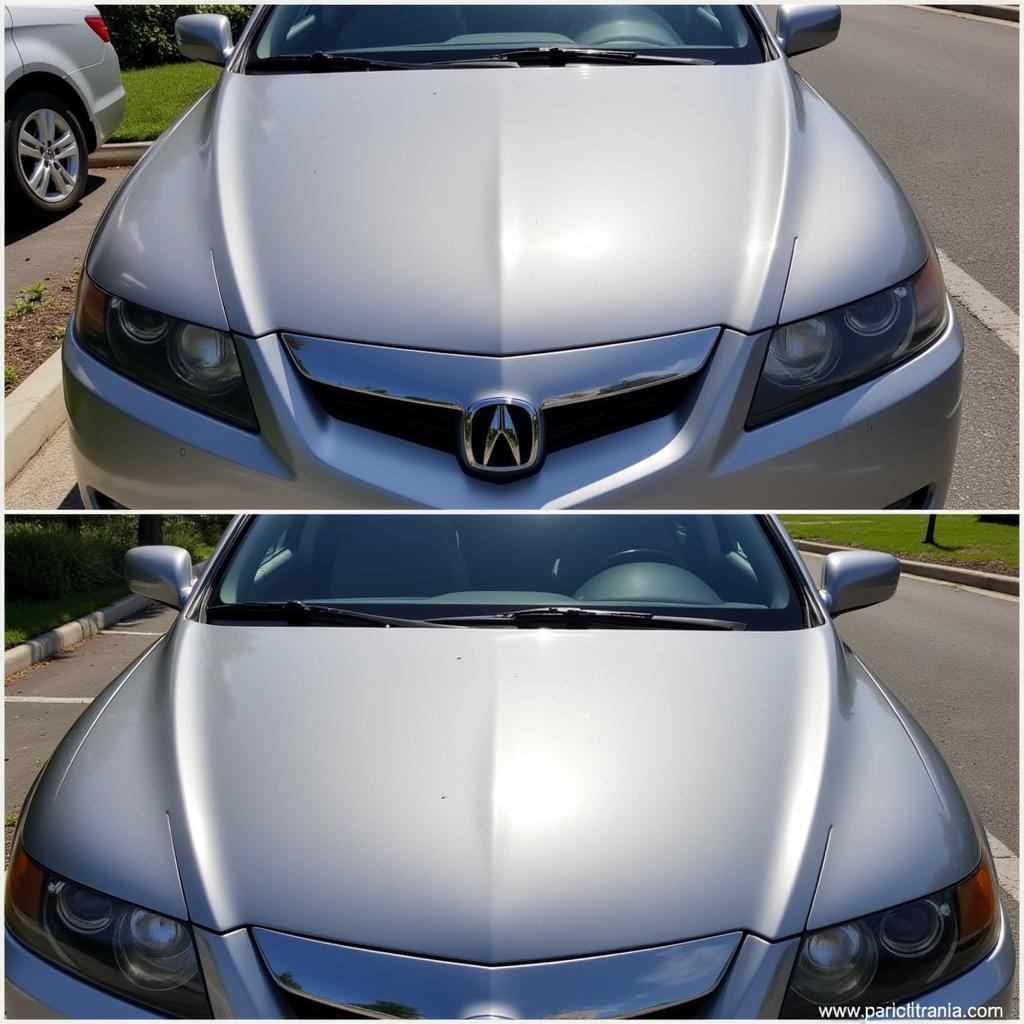 Acura Paint Correction Before & After