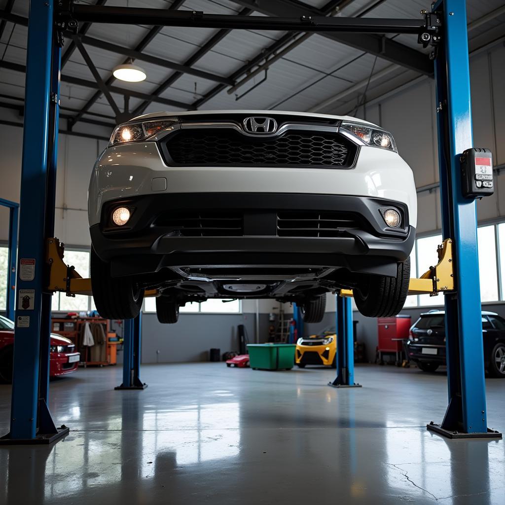 Car on a Lift for Inspection at Adelphi Auto Service