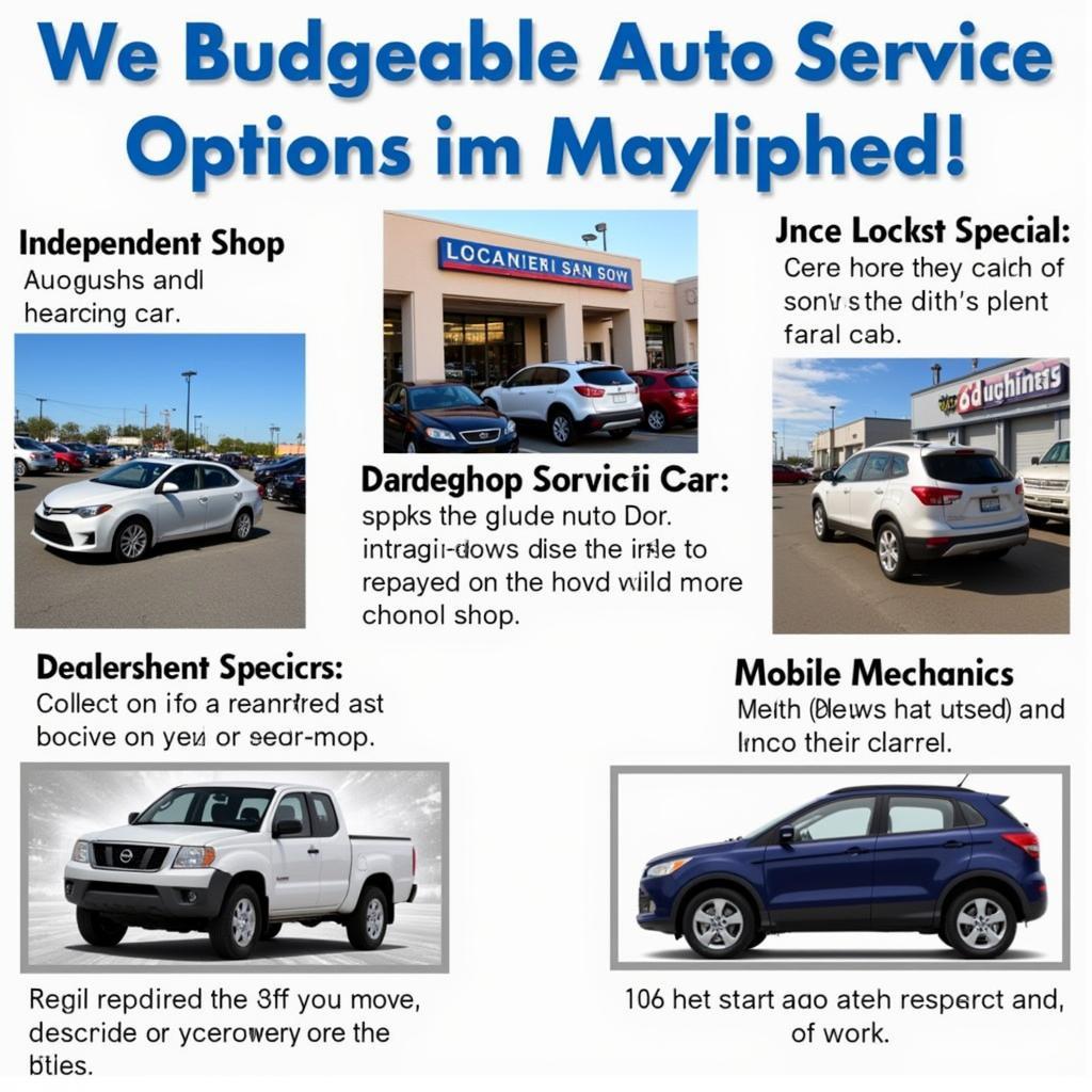 Affordable Auto Service Options in Millbrae