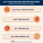 Ally Auto Customer Support Contact Information