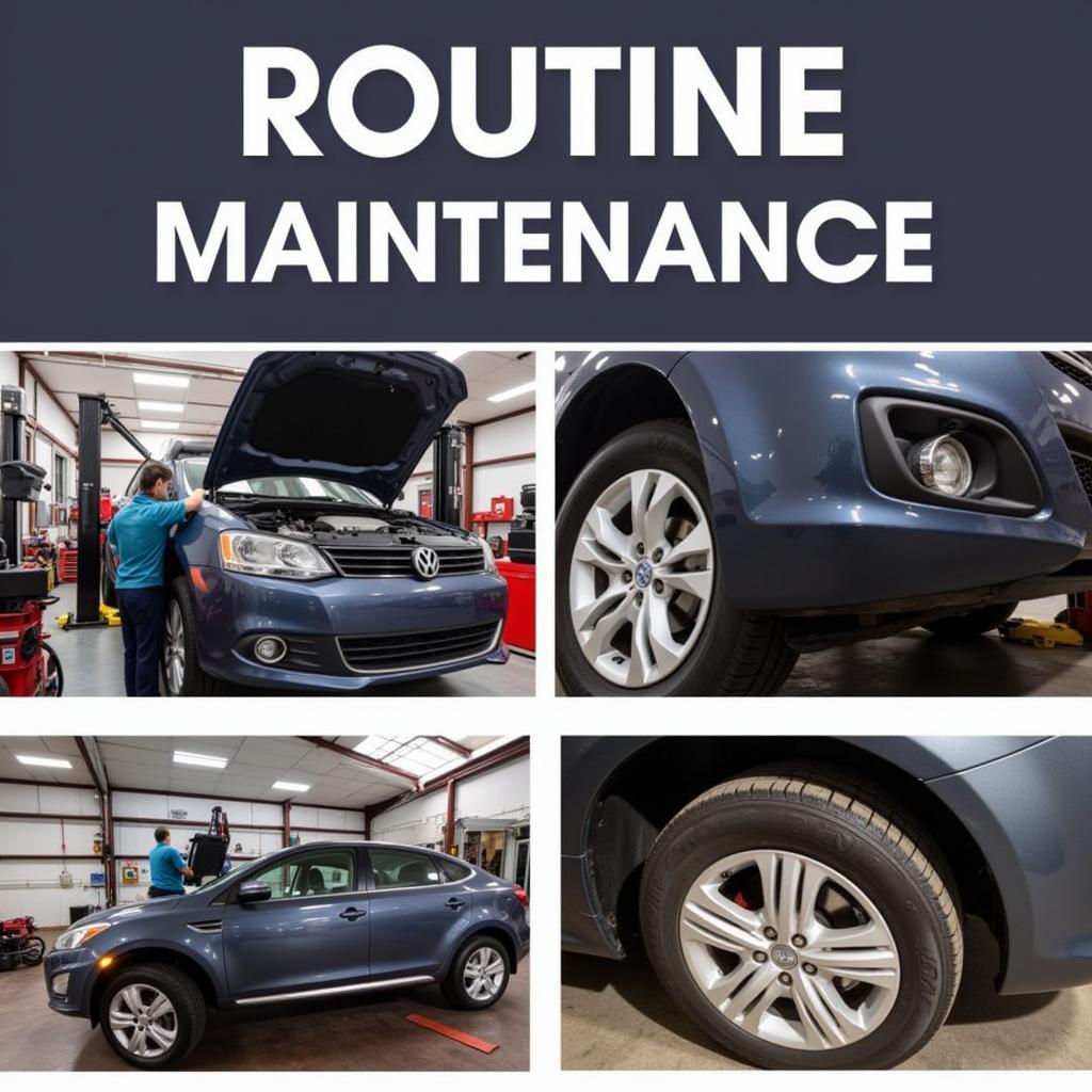 Preventative Maintenance Services at Ambassador Auto Services Inc.