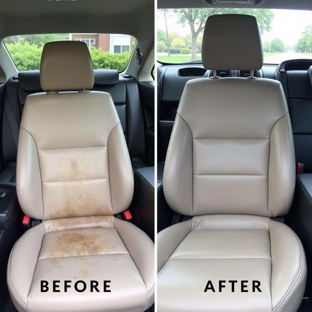 Auto Detailing: Interior Shampoo & Leather Conditioning