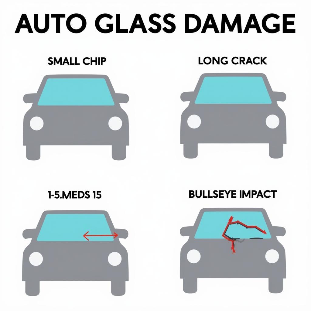 Types of Auto Glass Damage: Chip, Crack, Bullseye