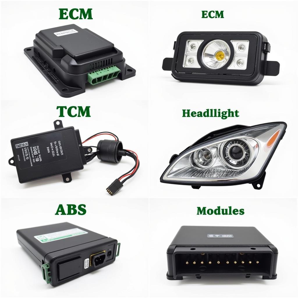 Various Applications of Auto Modular Service: Examples of different car modules.