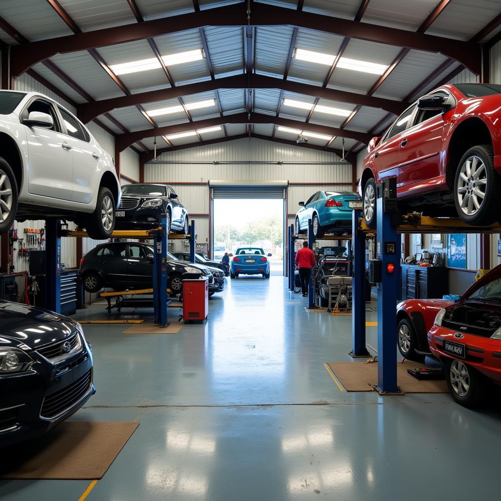 Auto Service Ballarat Repair Shop