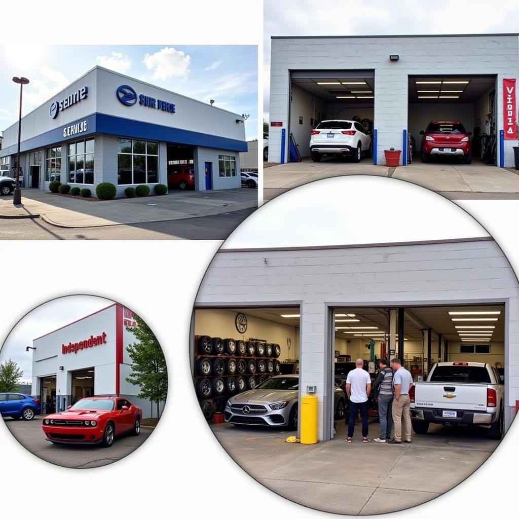 Different Auto Service Options in White River: Dealership, Independent Garage, and Specialized Shop