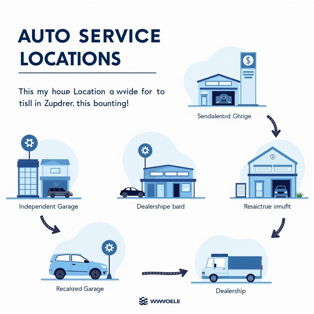 Various Auto Service Options in Zwolle