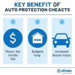 Benefits of Auto Protection Services in Santa Ana