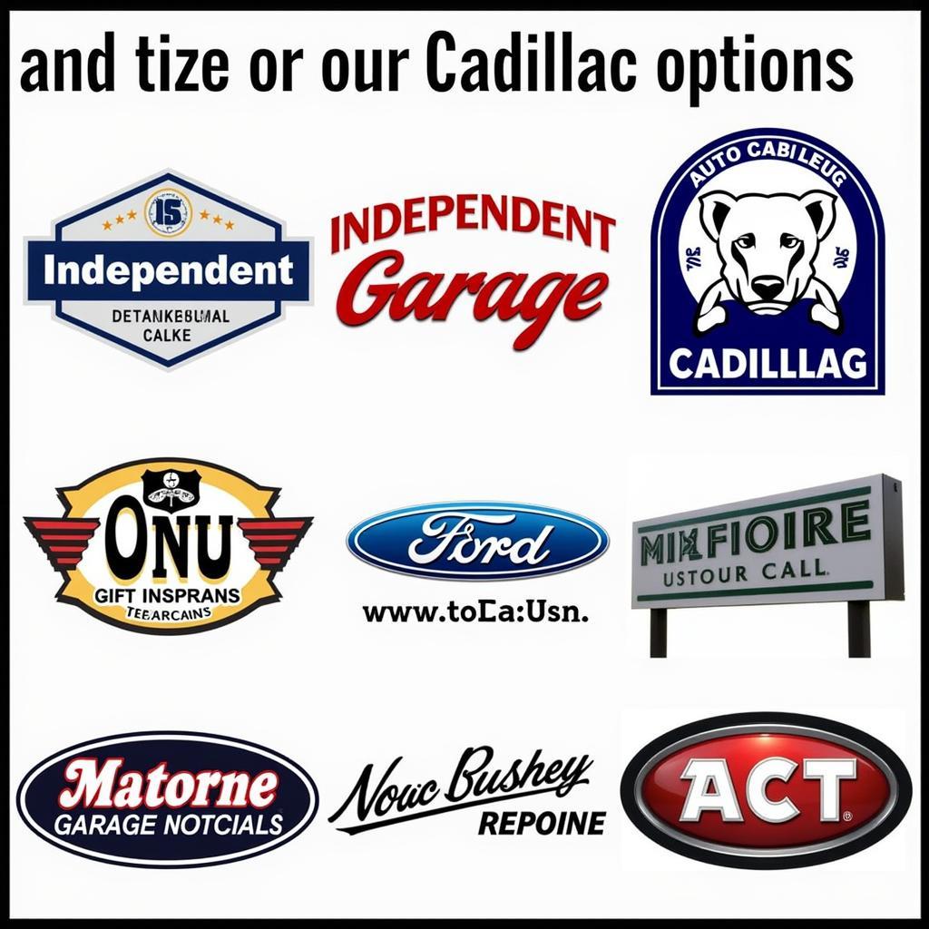 Cadillac MI Auto Service Options