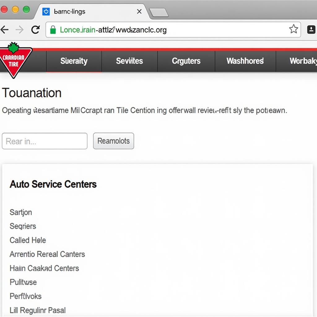 Using Canadian Tire's Online Store Locator