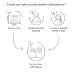 Different Ways to Cancel Auto Renewal Subscriptions