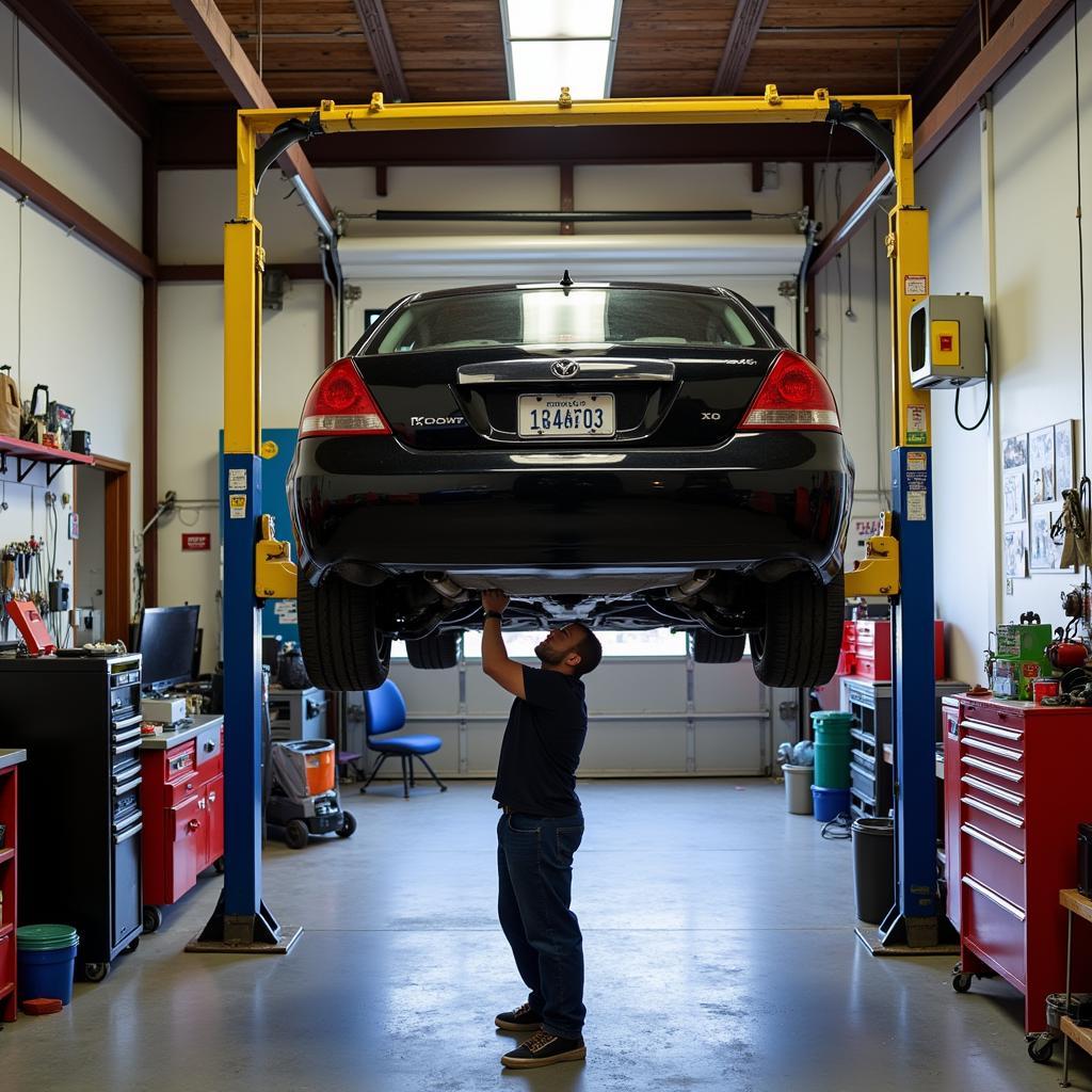 Car undergoing regular maintenance check-up at a Castro auto repair shop