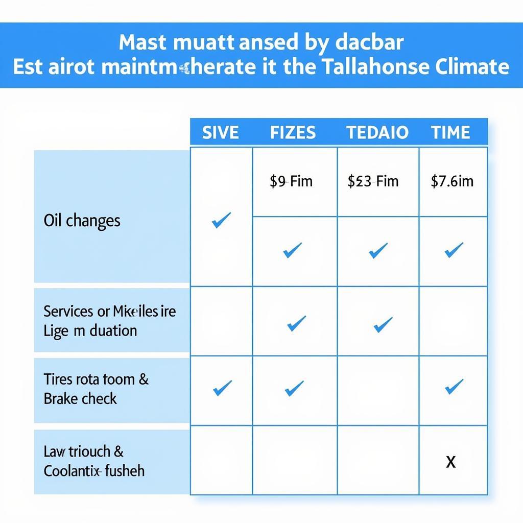 Car Maintenance Schedule Tallahassee