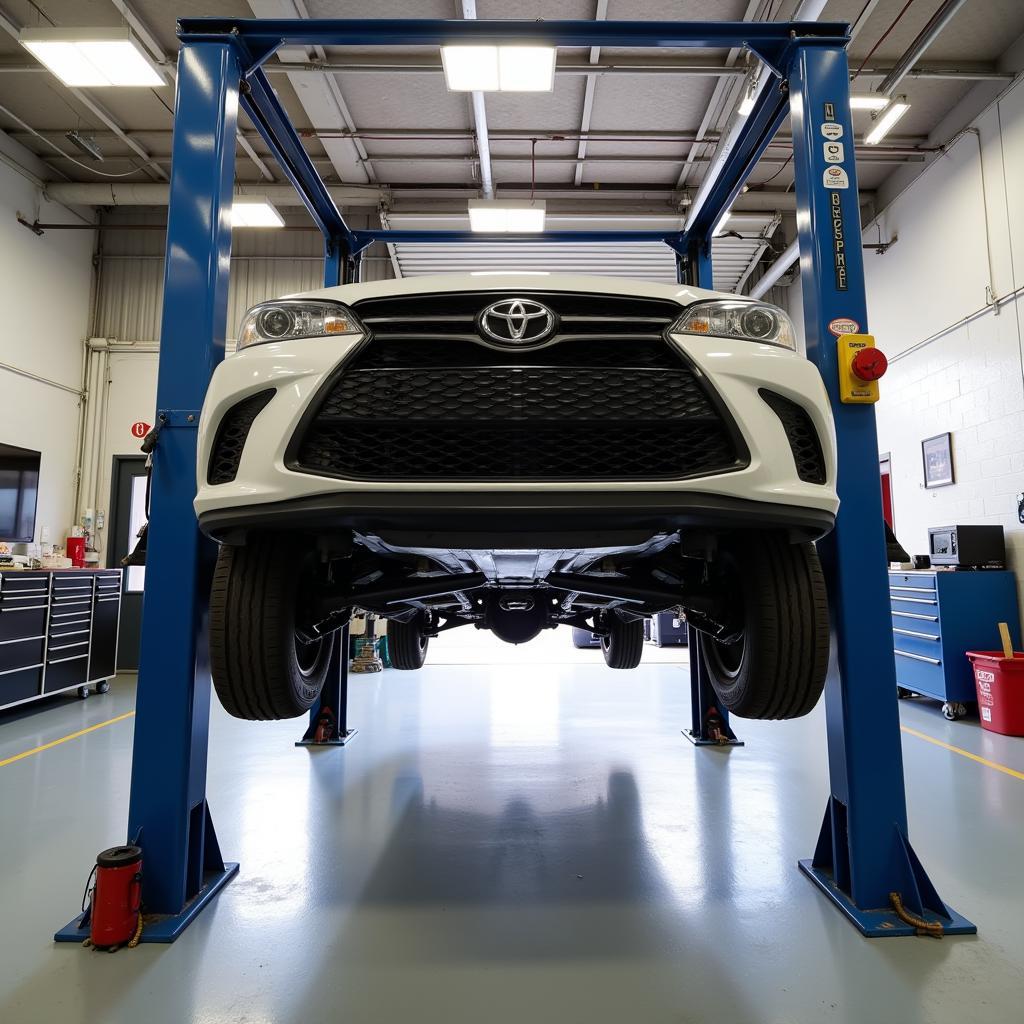 Car on Lift in Durham NC Auto Repair Shop