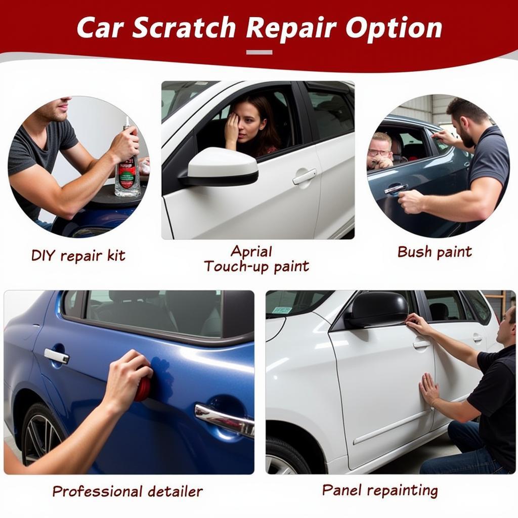 Car Scratch Repair Options and Costs