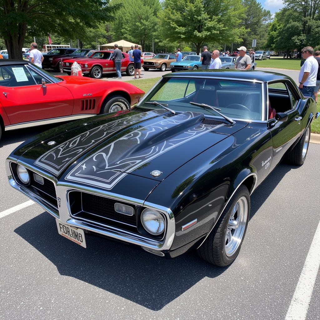 Car with pinstriping in Easley SC