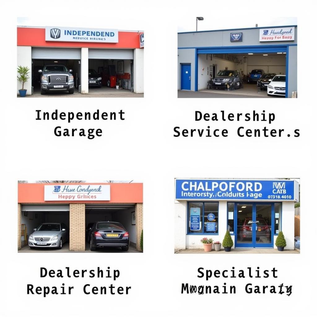 Chelmsford Auto Repair Garage Options