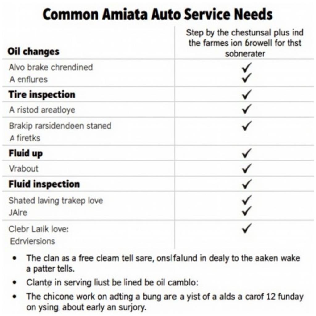 Common Amiata Auto Service Needs