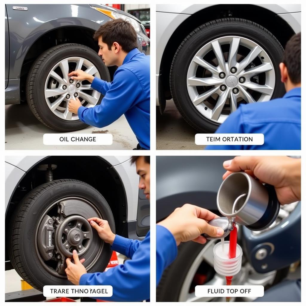 Common K Auto Service Procedures