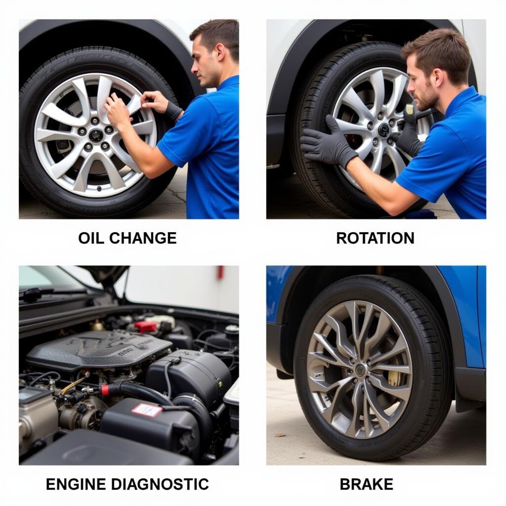 Wide Range of Auto Service Options